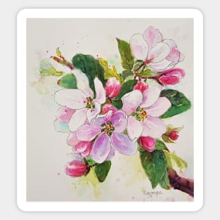 Apple blossom Sticker